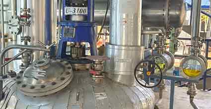 Bulk Drug & Pharmaceutical Process Equipment