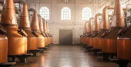 Alcohol Distillery Plant